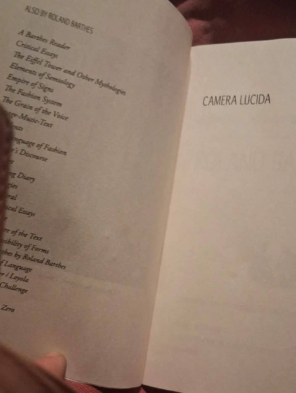 Barthes Camera Lucida Paperback - Gray and Black